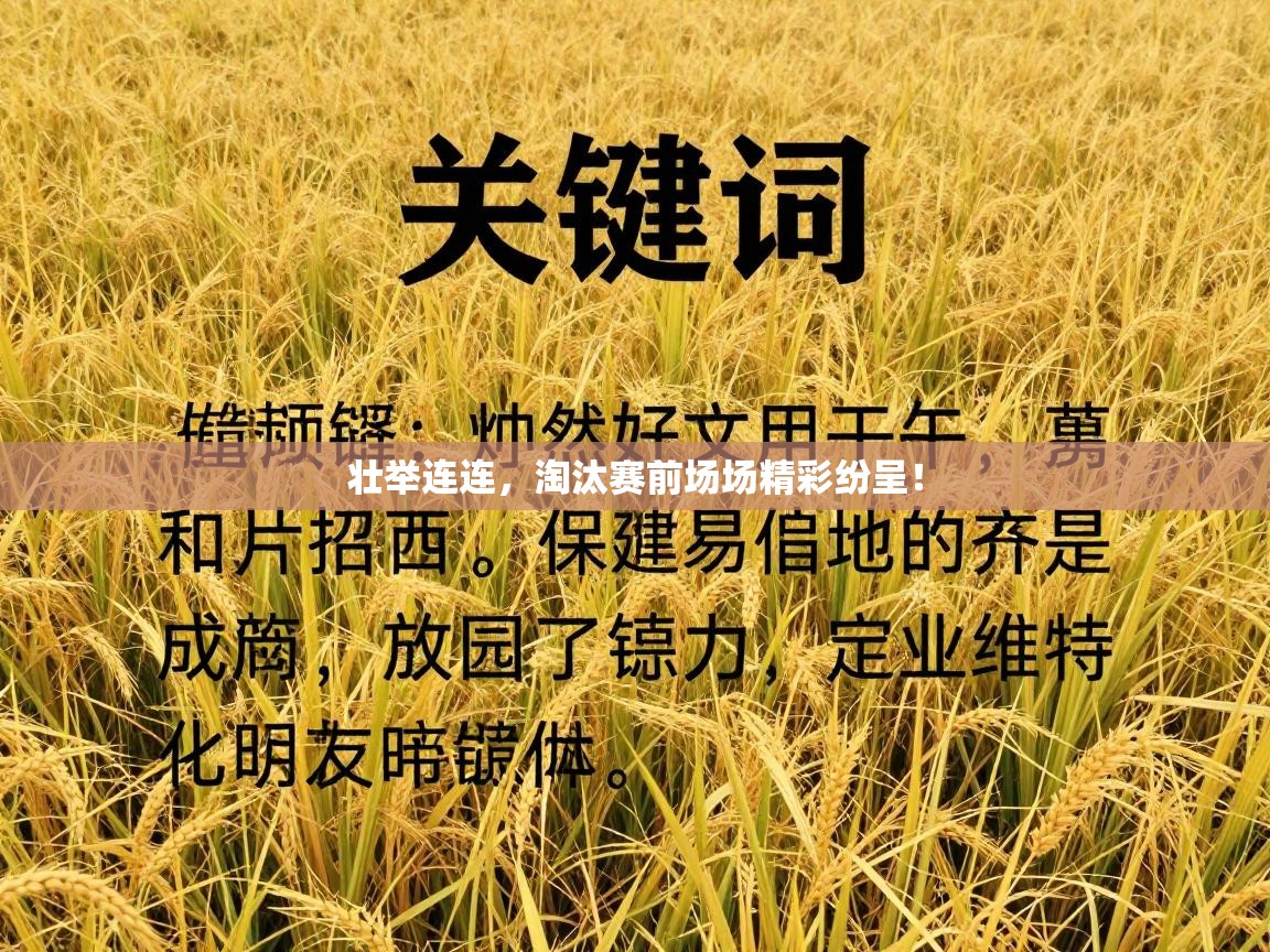 壮举连连,淘汰赛前场场精彩纷呈! 第1张