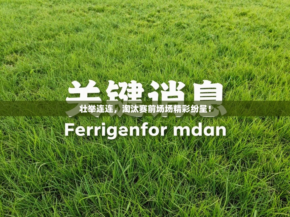 壮举连连,淘汰赛前场场精彩纷呈! 第2张