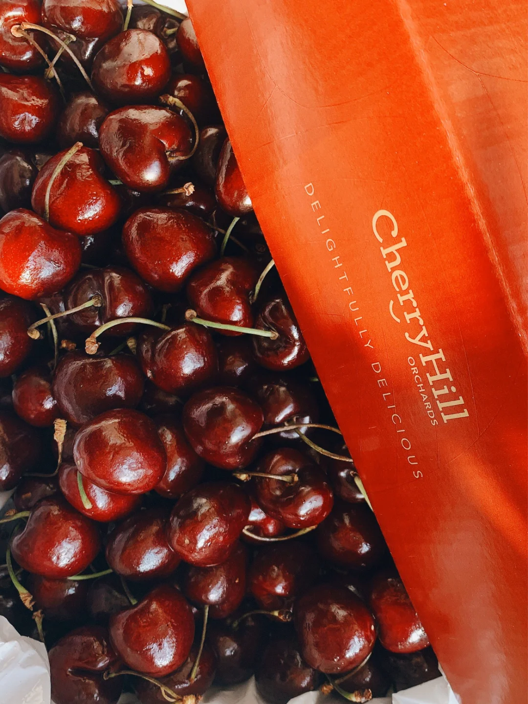 关于塔斯马尼亚联主场气氛火爆，球迷助威成强大后盾的信息