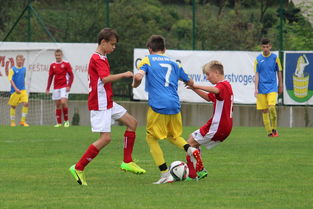 爱游戏课程-帕尔梅拉斯新援首秀引期待，世俱杯表现备受关注