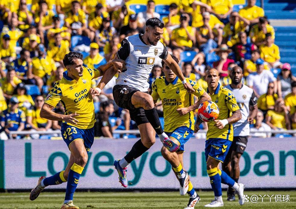 爱游戏在线-瓦伦西亚主场失利，遭遇联赛连败